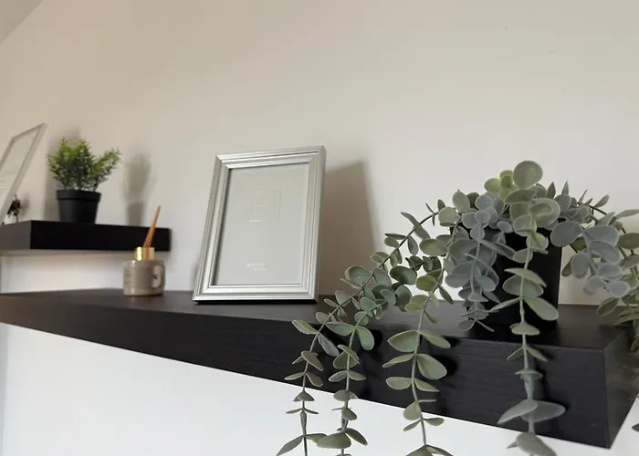 Cosy - Manoir Securise - *
